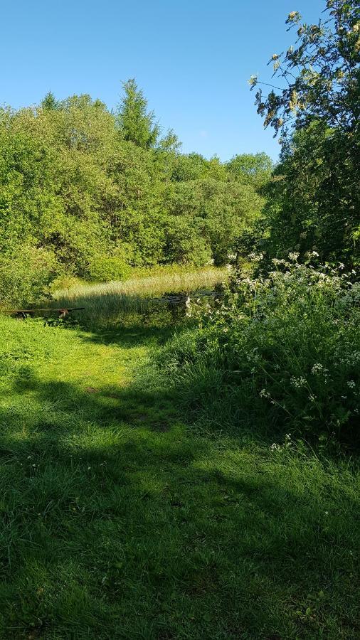 Basic Ingerichte Vouwwagen Op Camping Westenenk, Wijster מראה חיצוני תמונה